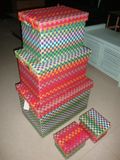 Plastic Storage Trunk