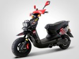 Zoom Style Motorcycle Mx (LEV007)