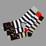 Socks (VO1)