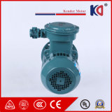 Yb3 Series Explosion-Proof Asynchronous Electric Motor