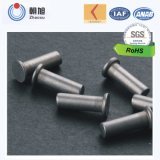 Promotional Machine Screw for Auto Productions