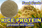 Rice Protein for Feed Additives (protein 60 min)