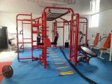 Integrated Gym Equipment Synrgy360 Crossfit Workout Rigs