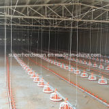 Full Set High Quality Automatic Poultry House Equipment