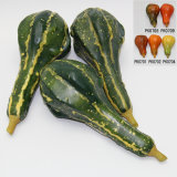 Artificial Vegetable, Imitative Polyfoam Pumpkin (PKH03-1-0703)