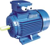 Pump Motor (Three Phase Electric Motor)