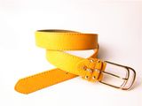 Latest Fashion Women Popular PU Belt (JBPU201405)