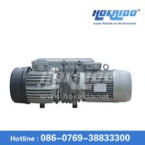 Single Stage Vane Vacuum Pump for Refrigeration Equipment (RH0100)