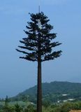 Camouflaged Coconut Palm Tree Tower