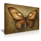 Best Selling Butterfly Still Life Canvas Printed Painting