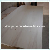 Commercial / Decoration Plywood