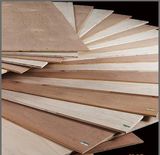 Poplar Core Commercial Plyoods 18mm