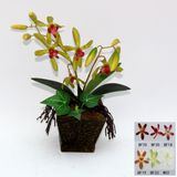 Artificial Potted Flower, Imitative Silk Orchid