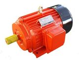 415V Y Three Phase Electric Motors