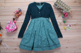 Children Fashion Apparel Spring Sweater Dress (1102)