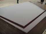 Anti-Slip Film Faced Plywood (1220mm*2440mm)