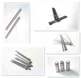 Hot Sale Good Quality High Precision Mold Part (round)