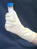 Polymer Coated Latex Gloves