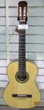 Acoustic Guitar (TC-40S)