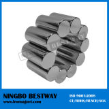 Strong Force Thin Cylinder Neodymium Magnet