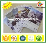 90g Uncoated Rolls Offset Paper