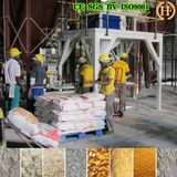 Corn Grinder/Corn Flour Mill Running in Africa