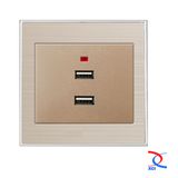 Brush Gold Color 2 USB Wall Socket