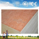 Door Skin Plywood for Interior Door (NTE-PL5003)