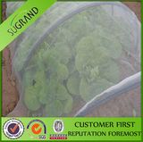 HDPE Plastic Insect Netting / HDPE Insect Netting / Plastic Insect Netting