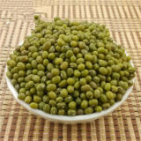 Hot Sale Natural Healthy Delicious China Green Bean
