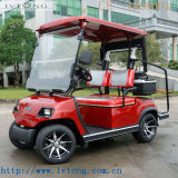 Lvtong Brand 2 Passenger Electric Car Lt-A2