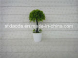 Artificial Plastic Potted Flower (XD14-266)