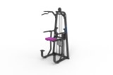 2015 New Arrival Commercial Fitness Equipment DIP/Chin Assist Ld-8009