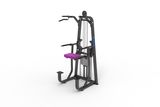 2015 New Arrival Commercial Fitness Equipment DIP/Chin Assist Ld-8009