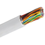 UTP Cat5e 50 Pairs Cable