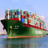 Sea Shipping Service From China to Seattle, Door to Door Service Big Price Cuts