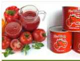 Tomato Paste in Can Birx 28-30%, 24-26%