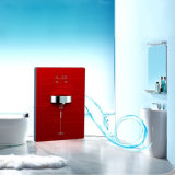 Colorful Pipeline Water Dispenser with Competitive Price