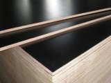 WBP Construction Plywood with Poplar Core (ISO9001)