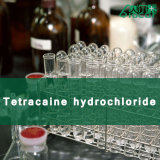 High Quality Tetracaine Hydrochloride with Good Price (CAS 136-47-0)