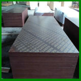 21mm Phenolic Plywood