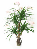 Eco-Friendly Artificial Flower Leaf Bonsai Artificial Plant/Orchid Artificial Cheap 521