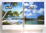 Cheap Bulk Notebook, Spiral Notebook, Paper Notebook