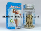 Chinese Herbal Natural Max Slimming Capsule