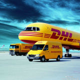 International Express/Courier Service[DHL/TNT/FedEx/UPS] From China to French Guiana