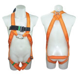 Safety Harness - 2 D Ring, Model# DHQS012