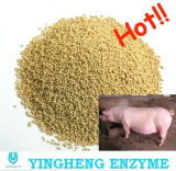 Feed Enzyme/Additive for Swine, Pig (AP1021)