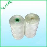 Nylon 66 High Tenacity Fishnet Twine/Thread 210d/2-150ply