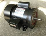 Single Phase NEMA Asynchronous Electric Motor