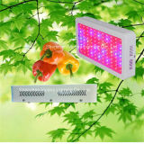 300W LED Flower Plant Grow Light